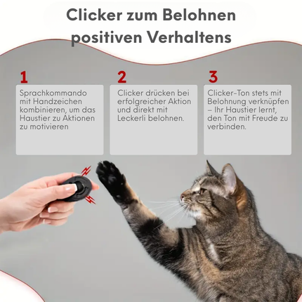 Hundepfeife & Clicker Set