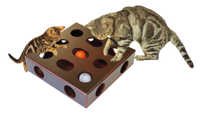 Boîte de jeu pour chat avec ballon