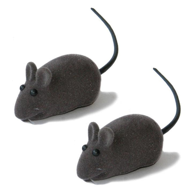 Souris qui grince