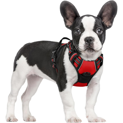 Hundegeschirr
