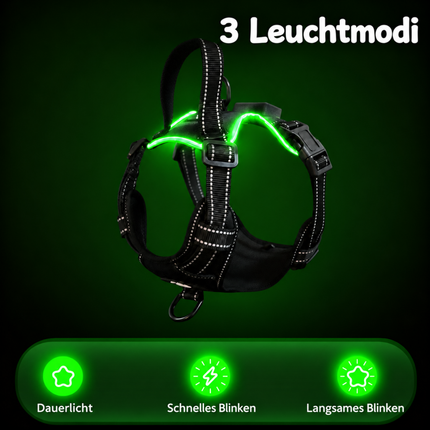 LED-Hundegeschirr