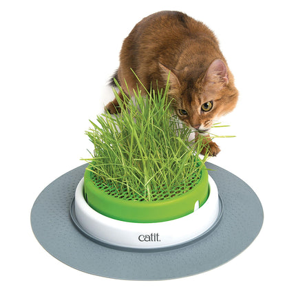 Jardinière à gazon Senses 2.0
