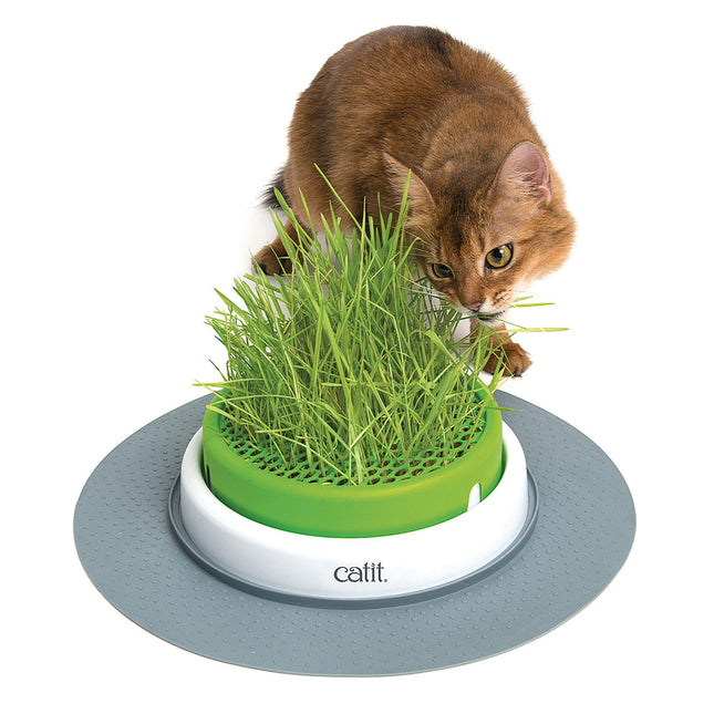 Jardinière à gazon Senses 2.0