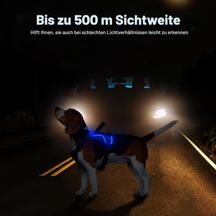 LED-Hundegeschirr