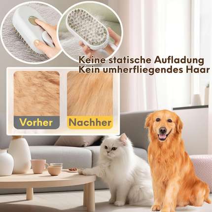 Dampfbürste