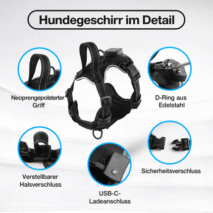 LED-Hundegeschirr