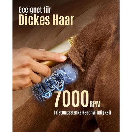 Kabelloses Schermaschine Pferd