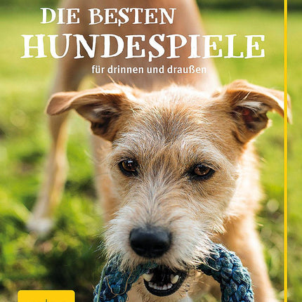 Les meilleurs jeux de chiens