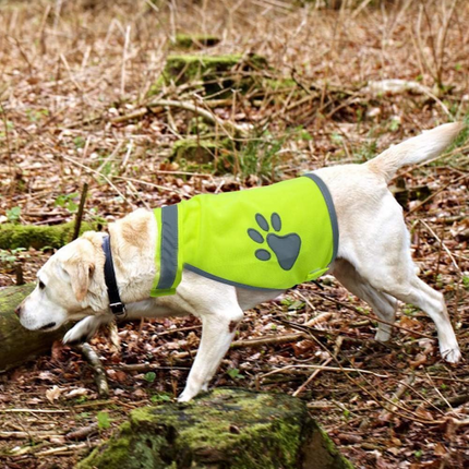 Reflektierende Sicherheitsweste für Hunde
