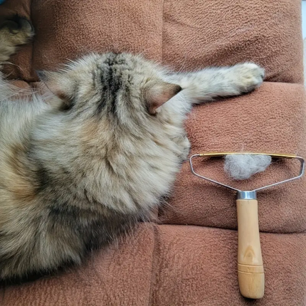 Fusselentferner Tierhaare