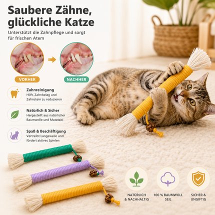 3 Stück Katzen Zahnpflege Spielzeug
