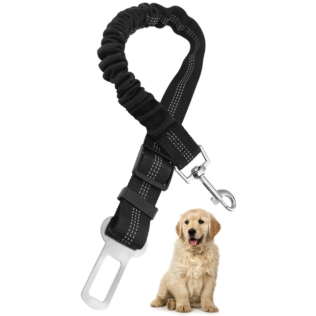 Hundegurt fürs Auto