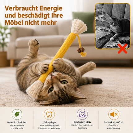 3 Stück Katzen Zahnpflege Spielzeug