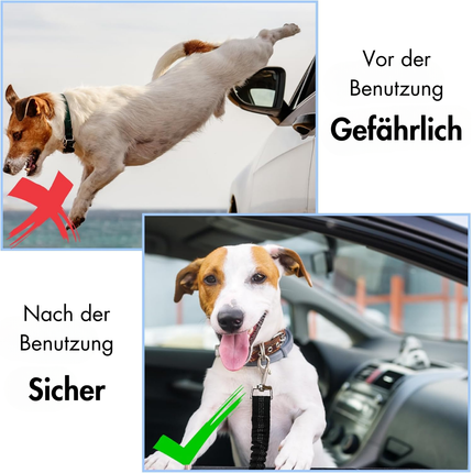 Hundegurt fürs Auto