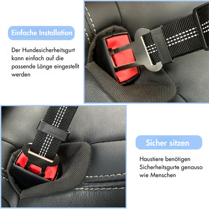 Hundegurt fürs Auto