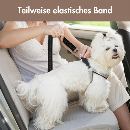 Hundegurt fürs Auto