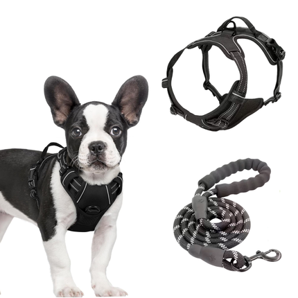 Hundegeschirr und Leine Set