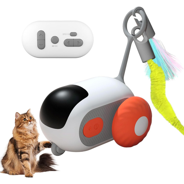 Fernbedienung Katzenspielzeug