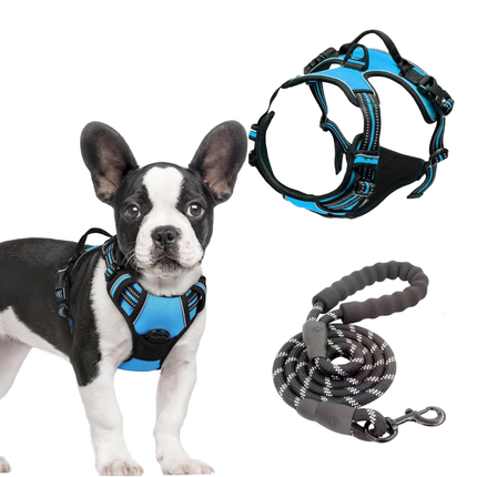 Hundegeschirr und Leine Set