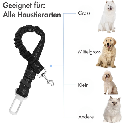 Hundegurt fürs Auto