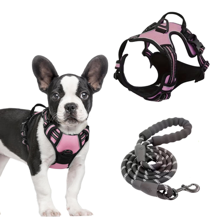 Hundegeschirr und Leine Set