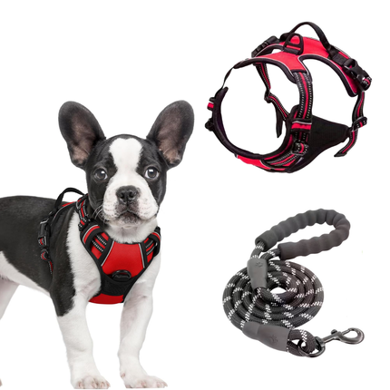 Hundegeschirr und Leine Set