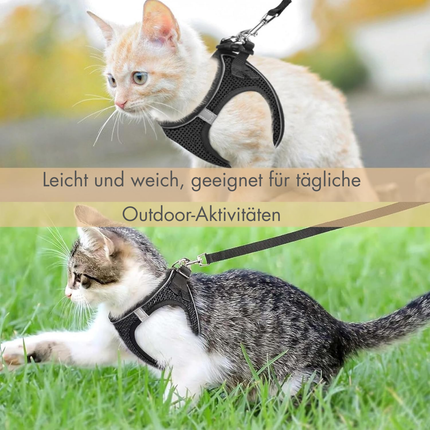 Katzengeschirr mit Leine