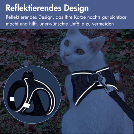 Katzengeschirr mit Leine