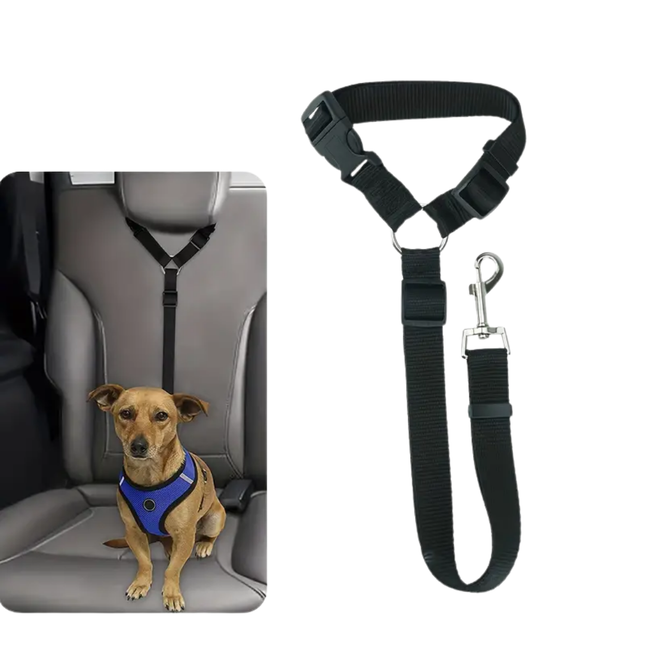 Hundegurt fürs Auto Kopfstütze