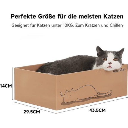 Kratzbrett Katze, 5er-Set