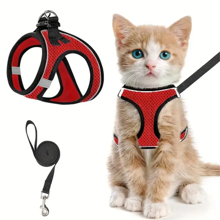 Katzengeschirr mit Leine