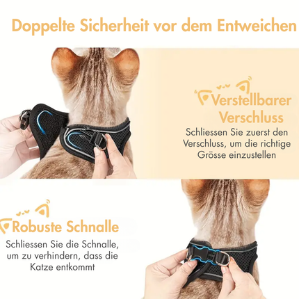Katzengeschirr mit Leine