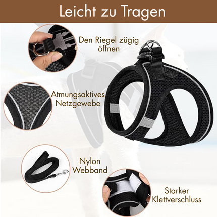 Katzengeschirr mit Leine