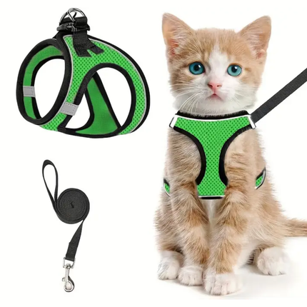 Katzengeschirr mit Leine