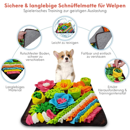 Schnüffelteppich Hund