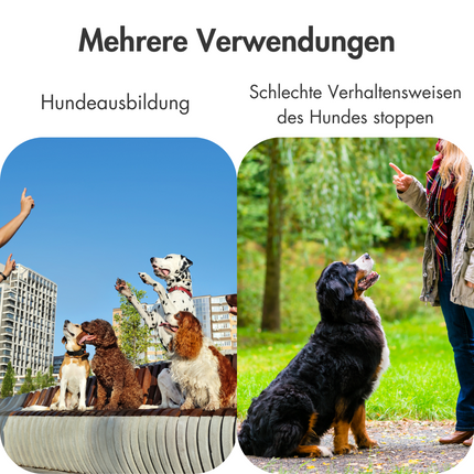 Hochfrequenz Hundepfeife