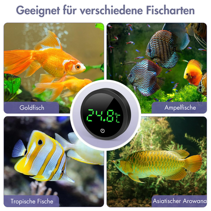 Digitales Aquarium Thermometer