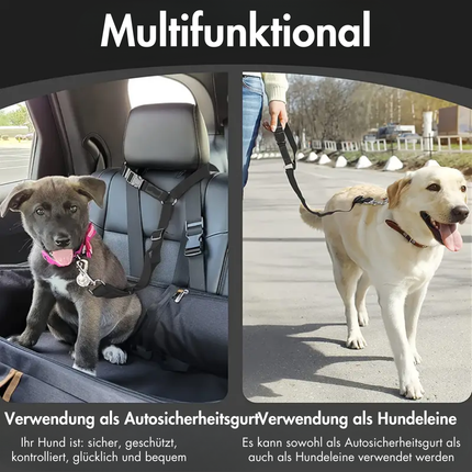 Hundegurt fürs Auto Kopfstütze