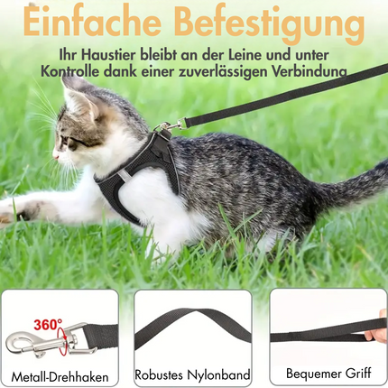 Katzengeschirr mit Leine