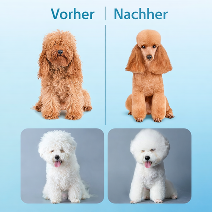 Professionelle Hundeschermaschine