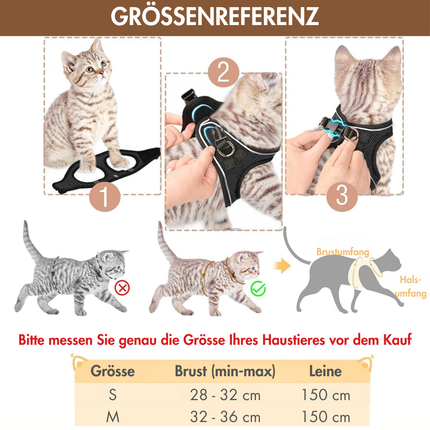 Katzengeschirr mit Leine