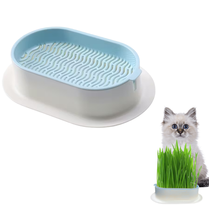 Pflanzschalen für Katzengras