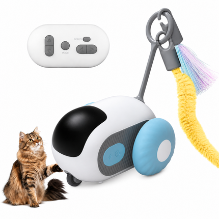 Fernbedienung Katzenspielzeug