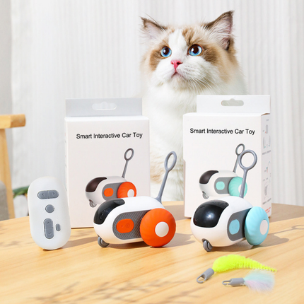 Fernbedienung Katzenspielzeug