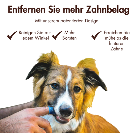 Hundezahnbürste