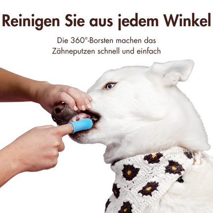 Hundezahnbürste
