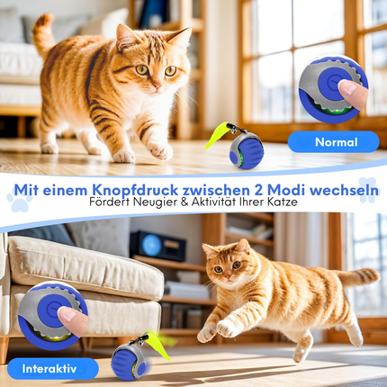 Katzenspielzeug mit Schwanz