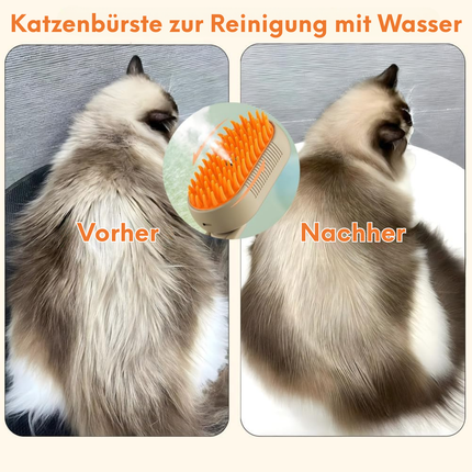 Dampfbürste