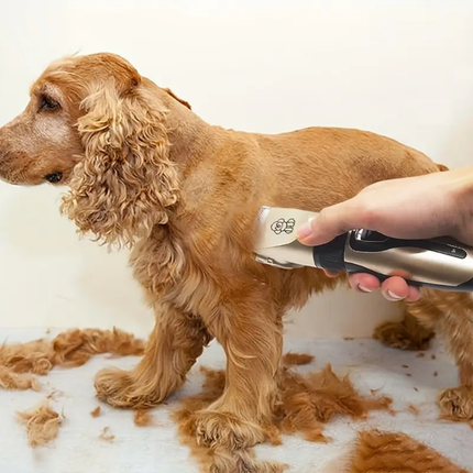 Leise Hundeschermaschine