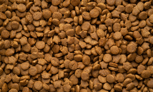 Dry food
